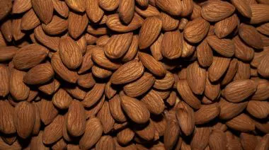 garnishing-instructions-image